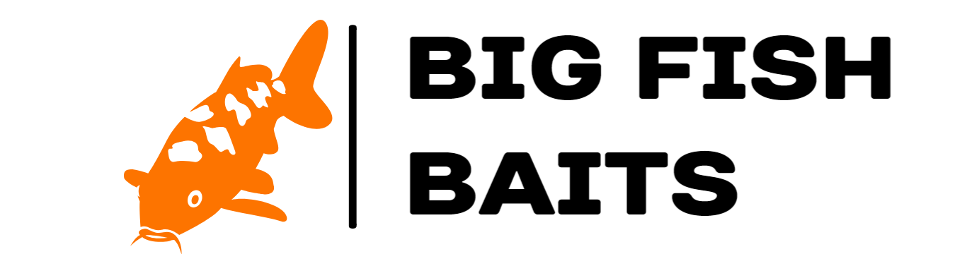 Интернет магазин "Big Fish Baits"